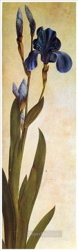  flower oil painting - Iris Troiana Albrecht Durer classical flowers